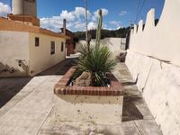 Jardinera con cactus en casa en venta en El Fresno, Atlacomulco