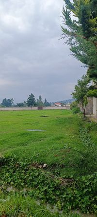 Terreno amplio con drenaje lateral y vegetación abundante