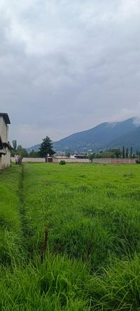 Terreno verde con montañas al fondo y cielo nublado