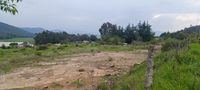 Terreno en venta en Diximoxi, Atlacomulco, con zona despejada, vegetaci&oacute;n y camino lateral.