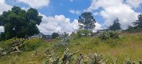 Terreno con vista abierta al valle de Jocotitlán y zonas habitadas cercanas.
