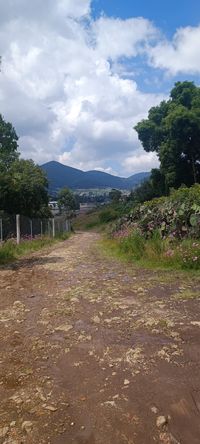 Terreno en venta en Jocotitl&aacute;n, acceso empedrado rodeado de vegetaci&oacute;n natural.